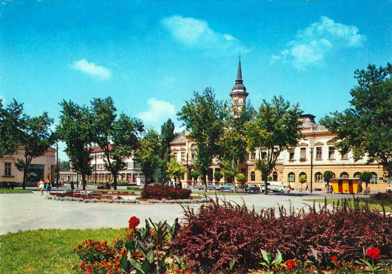 Pogača