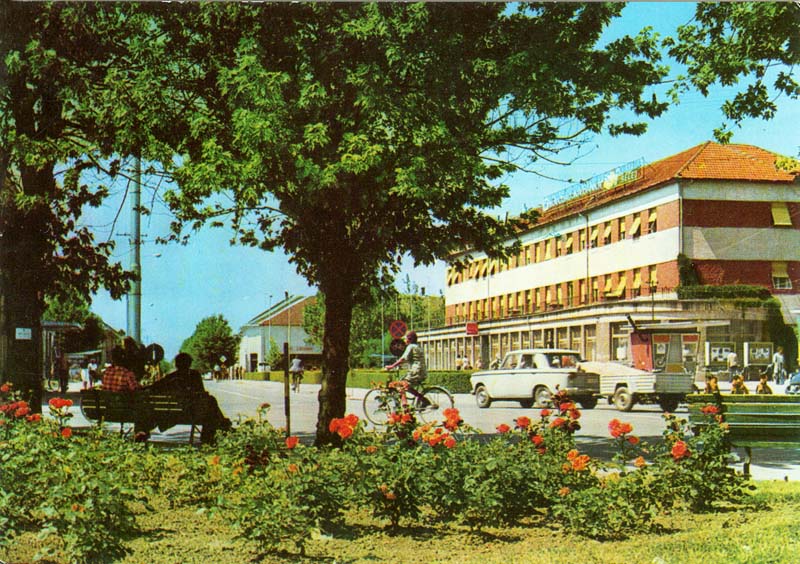 Pogača