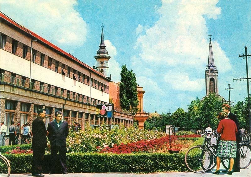 Novosadska ulica Zadružni dom